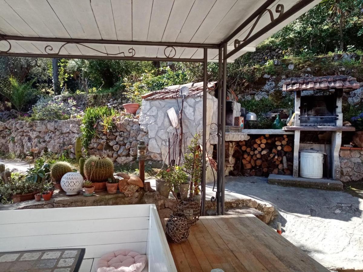 Cottage Pura Vigna Immerso Nella Natura Vicino Al Mare Порто Санто Стефано Екстериор снимка