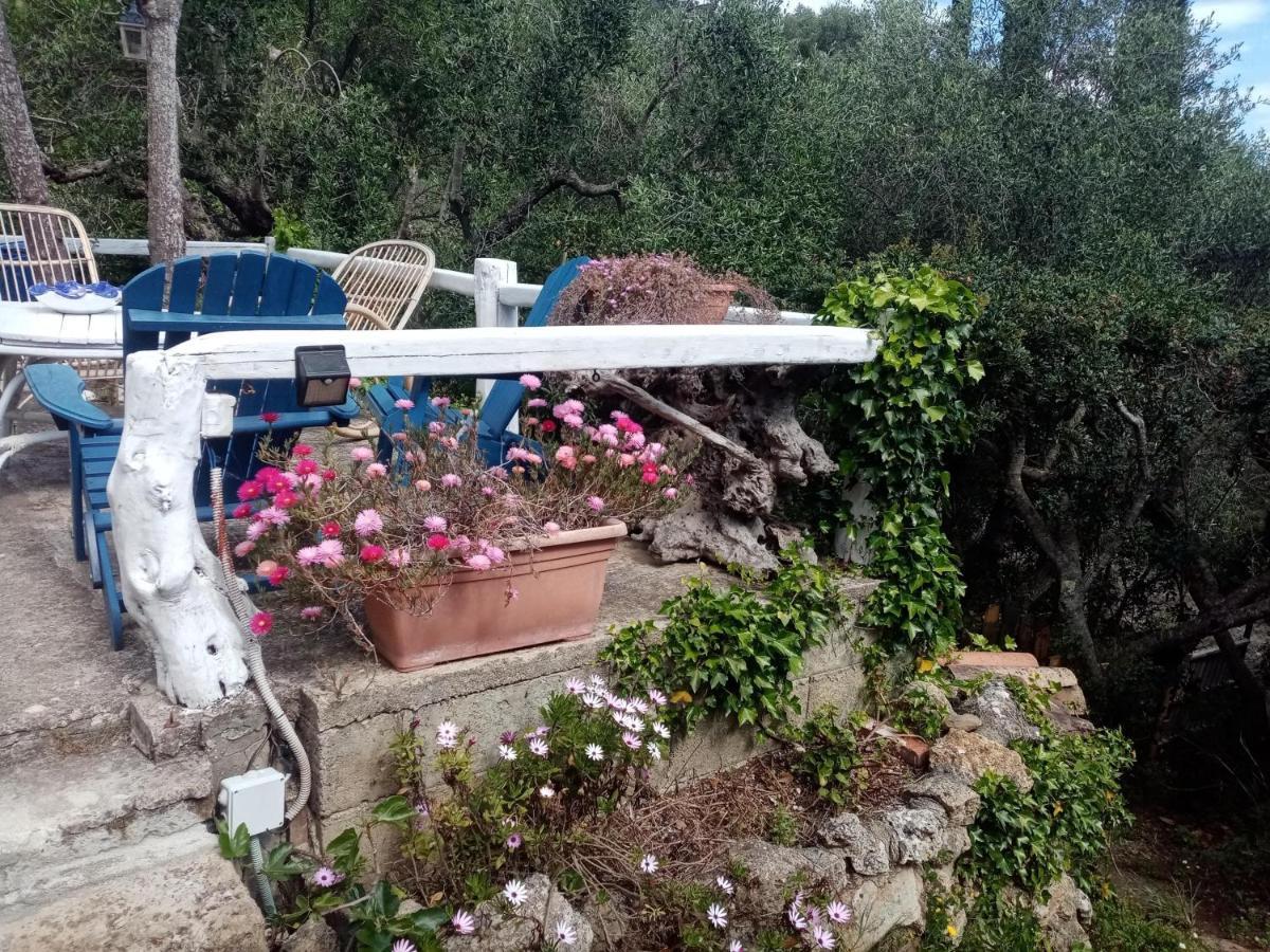 Cottage Pura Vigna Immerso Nella Natura Vicino Al Mare Порто Санто Стефано Екстериор снимка