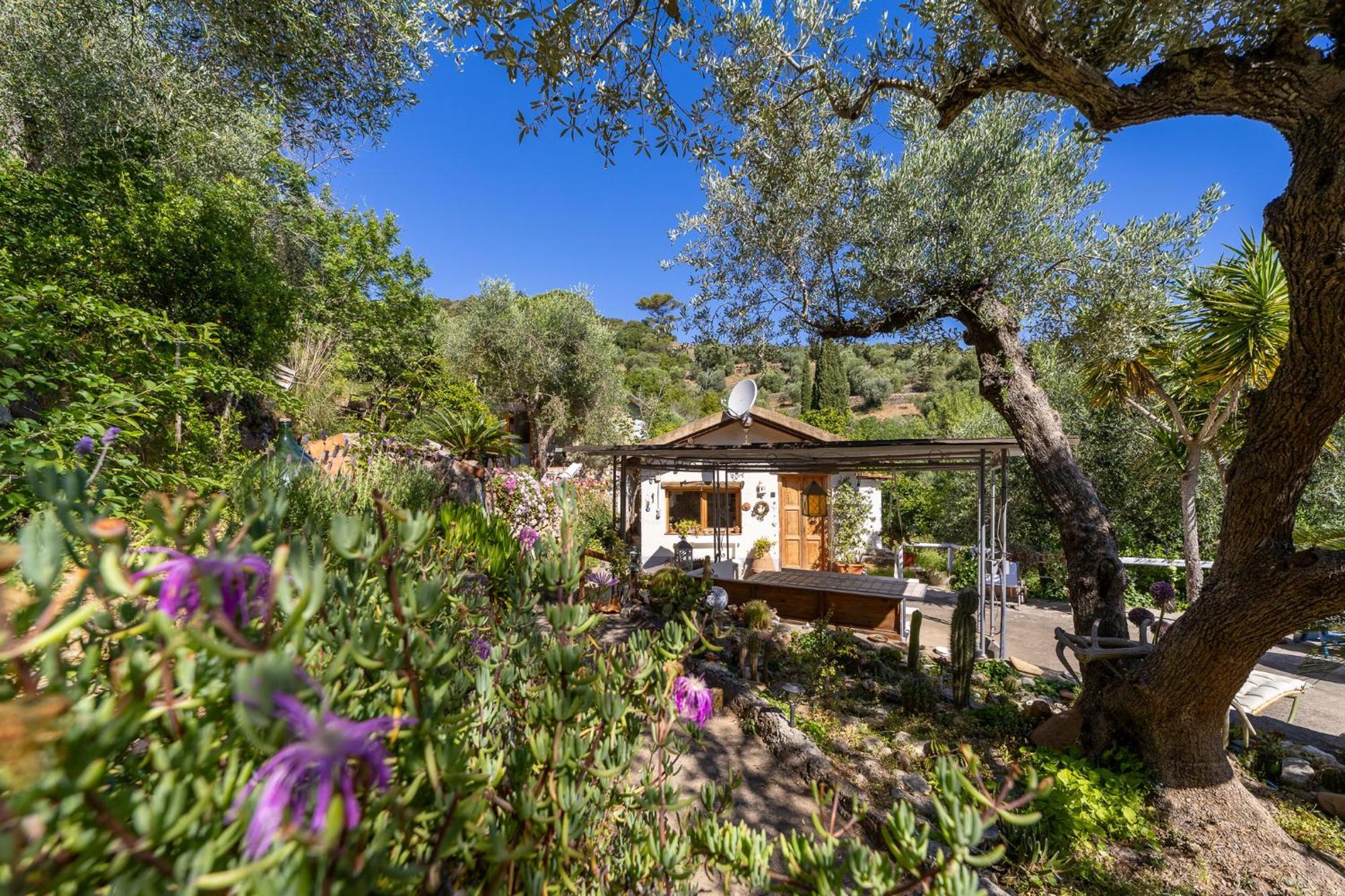 Cottage Pura Vigna Immerso Nella Natura Vicino Al Mare Порто Санто Стефано Екстериор снимка